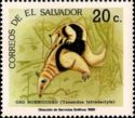 Southern tamandua (Tamandua tetradactyla)