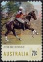 Polocrosse
