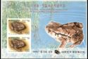 Asiatic Toad (Bufo bufo gargarizans)