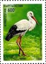 White Stork (Ciconia ciconia)