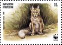 Corsac Fox (Vulpes corsac), Sitting