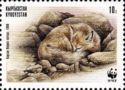 Corsac Fox (Vulpes corsac), Sleeping