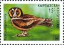 Brown Wood-Owl (Strix leptogrammica)