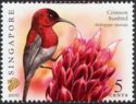 Crimson Sunbird (Aethopyga siparaja) Imprint 2007C
