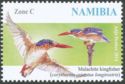 Malachite Kingfisher (Corythornis cristatus)