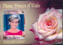 Diana, Princess of Wales, 'English Rose'