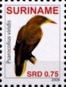 Green Oropendola (Psarocolius viridis)