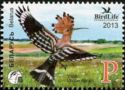 Eurasian Hoopoe (Upupa epops)