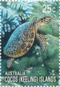 Green Sea Turtle (Chelonia mydas)
