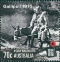 Gallipoli 1915 - Field Medicine