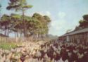 Isle de Pinos. Frank Pais Poultry Farm