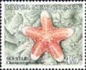 Granulated Sea Star (Choriaster granulatus)