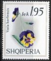 Pansy (Viola tricolor hortensis)
