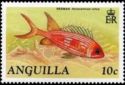 Longspine Squirrelfish (Holocentrus rufus) 