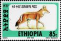 Ethiopian Wolf (Canis simensis)