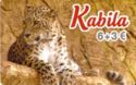 Kabila - Leopard