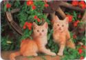 Two Red Kittens near the Wooden Wheel