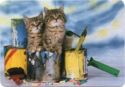 Two Kittens on Paint Cans