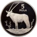 5 Pula (Wildlife - Gemsbok)