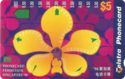 Yellow Orchid (C Issue)