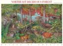 Northeast Deciduous Forest