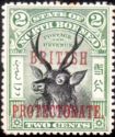 Sambar (Rusa unicolor) overprinted