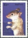 Rat (Rattus sp.)