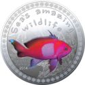 5,000 Francs (Lyretail Anthias)