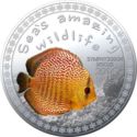 5,000 Francs (Symphysodon Discus)