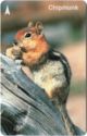 Chipmunk