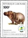 Hippopotamus (Hippopotamus amphibius)