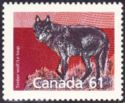 Timber Wolf (Canis lupus)