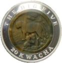 20 Kwacha (The Big Five - Leopard)