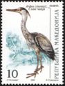 Grey Heron (Ardea cinerea)