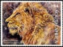 Lion (Panthera leo)