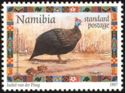 Helmeted Guineafowl (Numida meleagris)