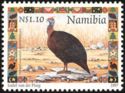 Helmeted Guineafowl (Numida meleagris)