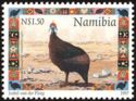 Helmeted Guineafowl (Numida meleagris)