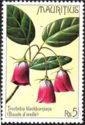 Stamp:-Trochetia-blackburniana-(Mauritius)