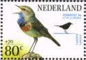 Bluethroat (Luscinia svecica) - from Sheet