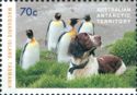 King Penguin and Springer Spaniel