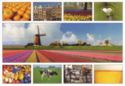 Views of Netherlands