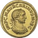 1 Aureus