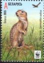 Speckled Ground Squirrel (Spermophilus suslicus)