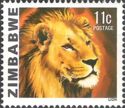 Lion (Panthera leo)