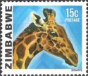 Giraffe (Giraffa camelopardalis)