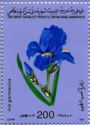 Iris germanica