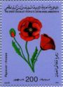 Papaver rhoeras