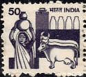 Woman Dairy Farmer, Cows and Milk Bottles