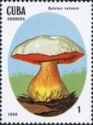 Boletus satanas